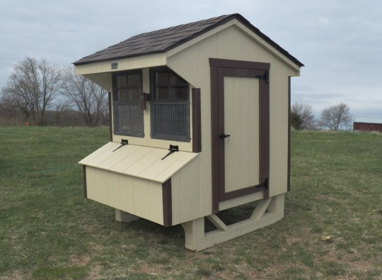 Chicken Coop Interior