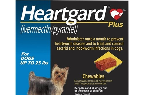 Heartgard Plus