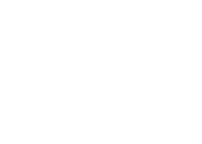 THE BRIDGE