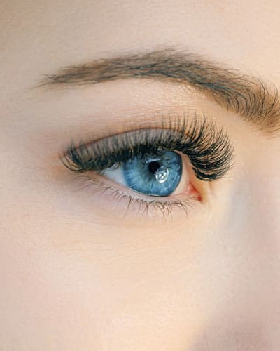 Cils