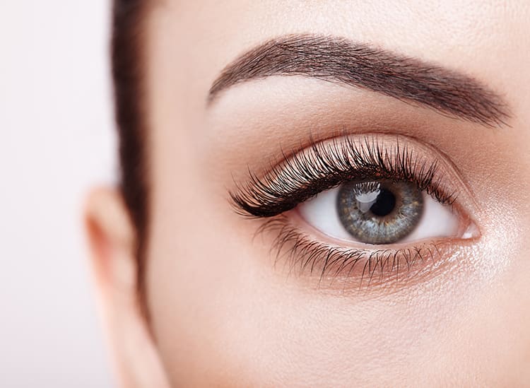 Beauté du Regard