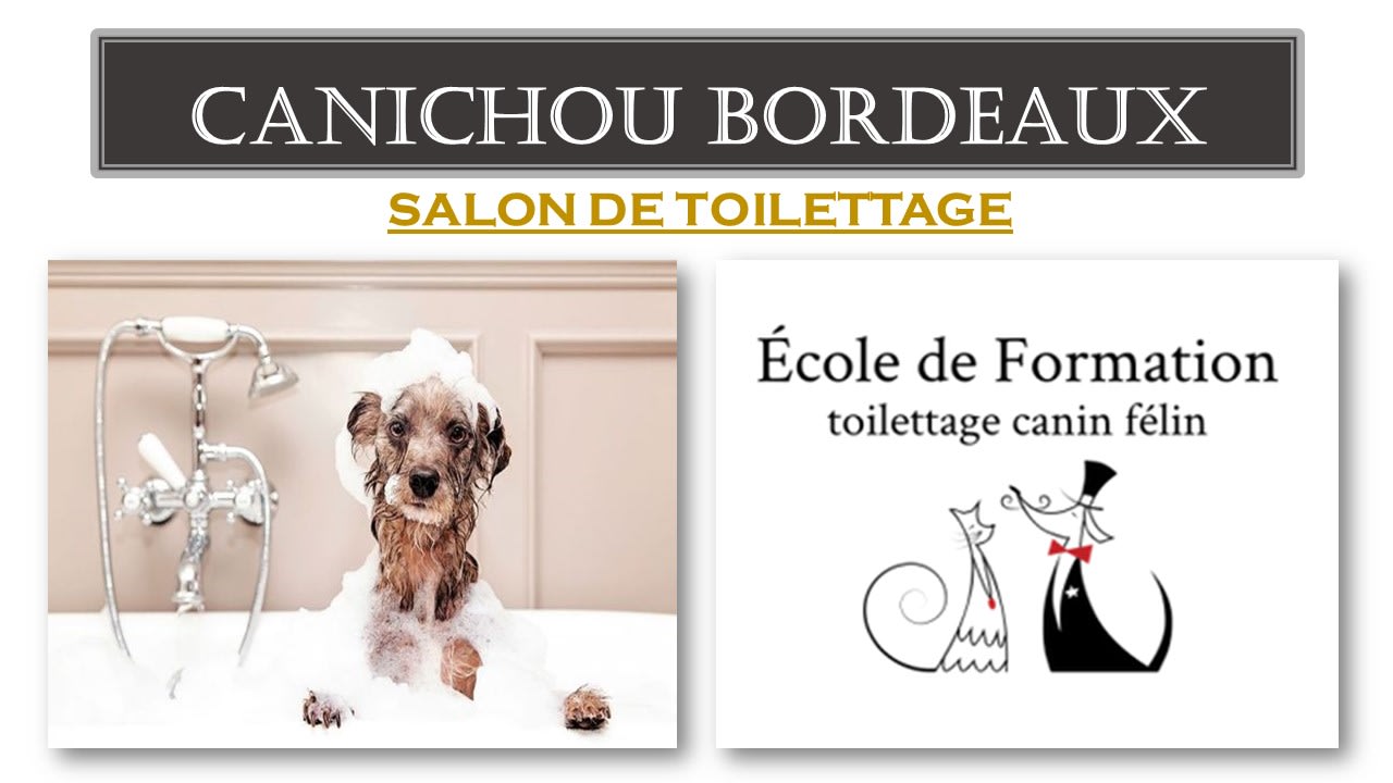 Salon de toilettage à Bordeaux