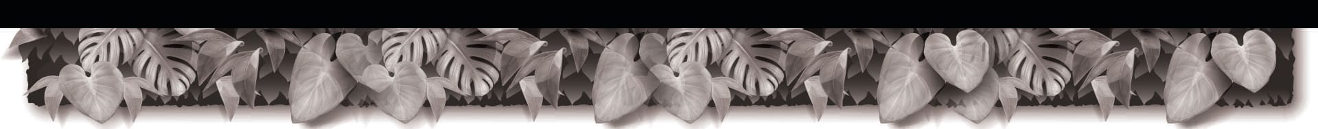 Mon salon : salon de coiffure mixte à Vaivre-et-Montoille - (70000)