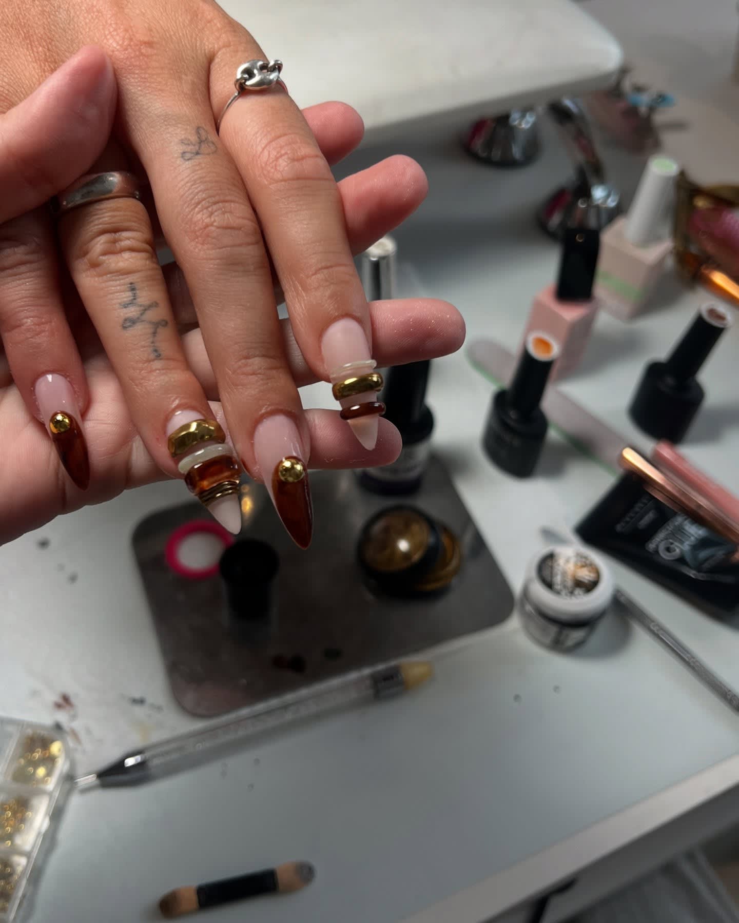 formation ongulaire 3