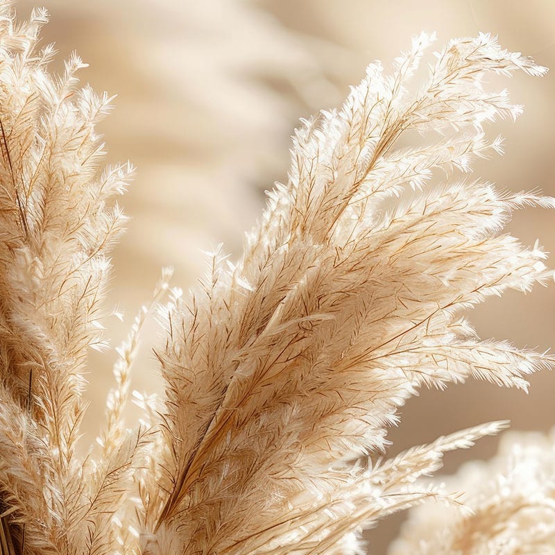 Facialiste et spécialiste du drainage lympathique à Lyon