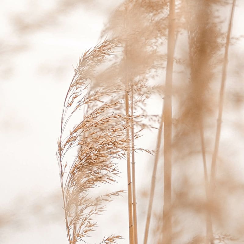 Facialiste et spécialiste du drainage lympathique à Lyon