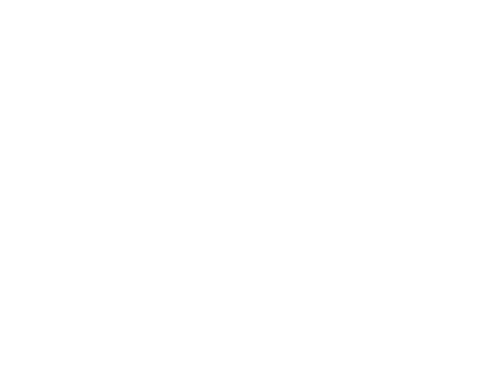 Logo Big Sister