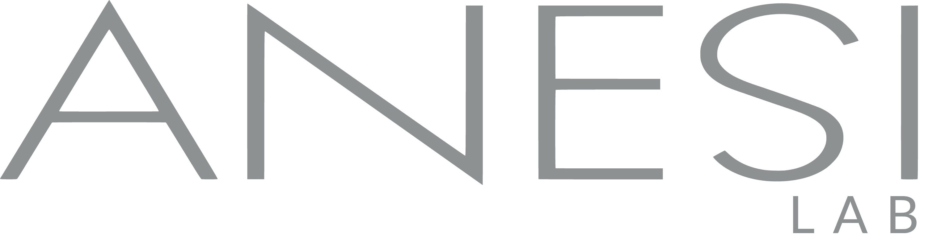 Anesi Lab