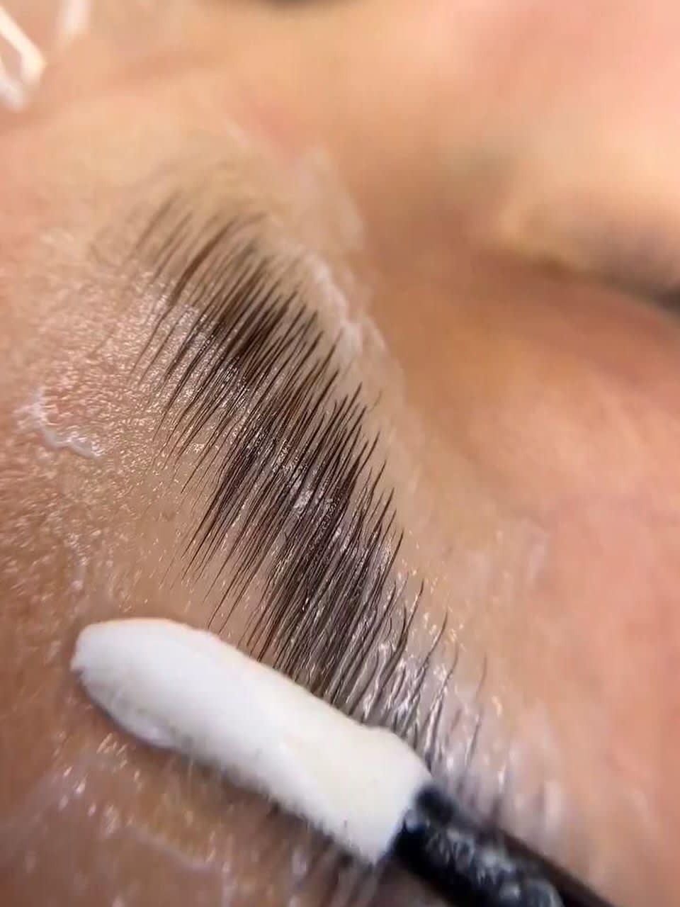 Lashes & Brows
