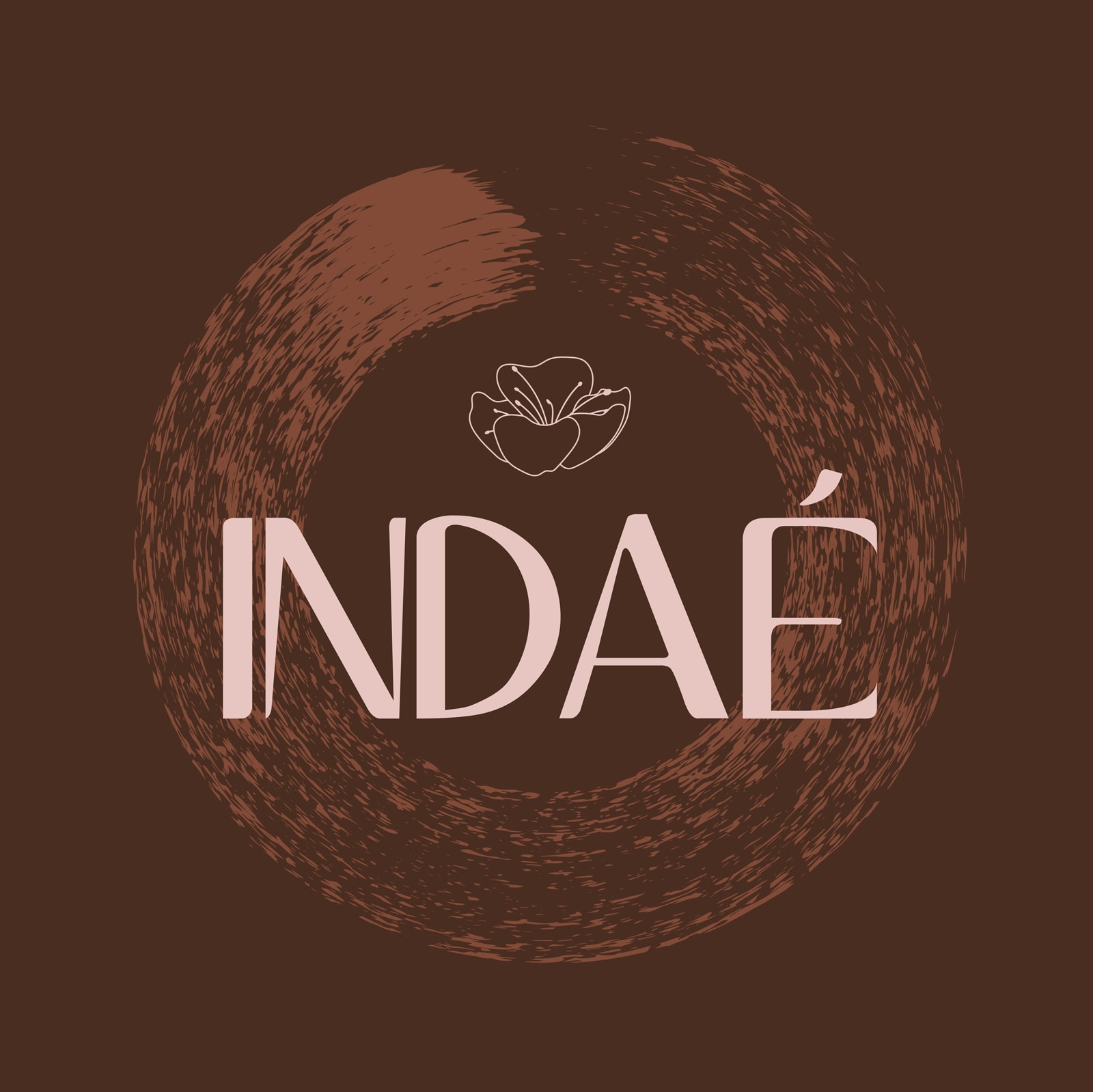 Logo INDAE