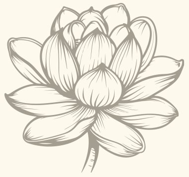 White Lotus Head Spa