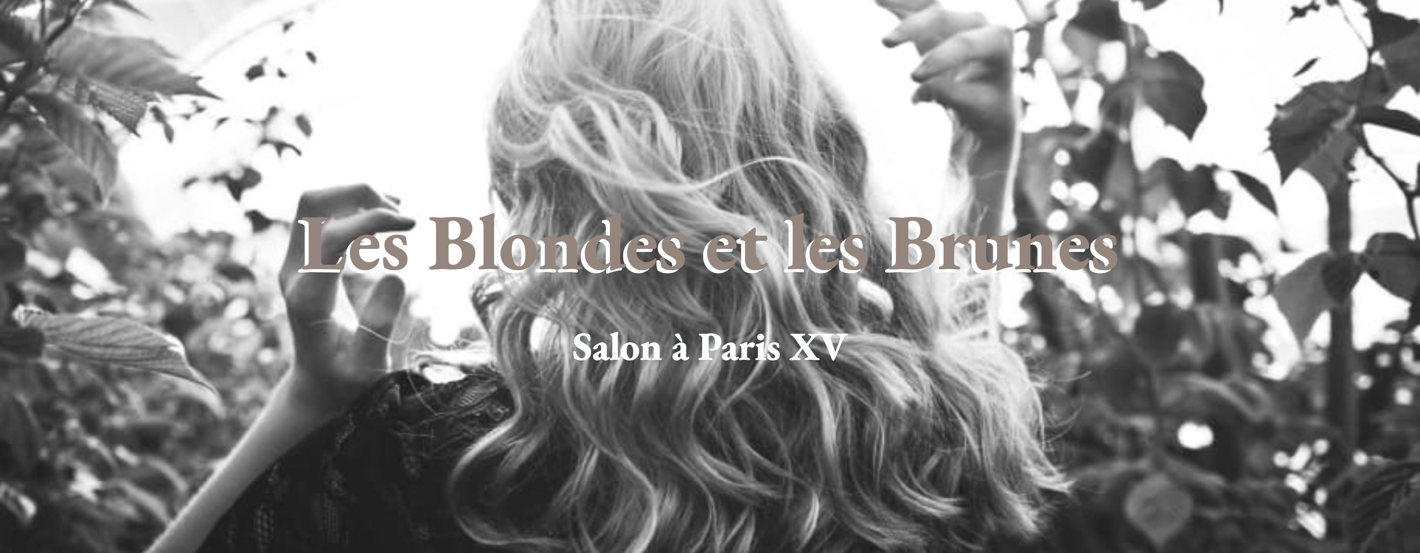 Les blondes et les brunes Salon
