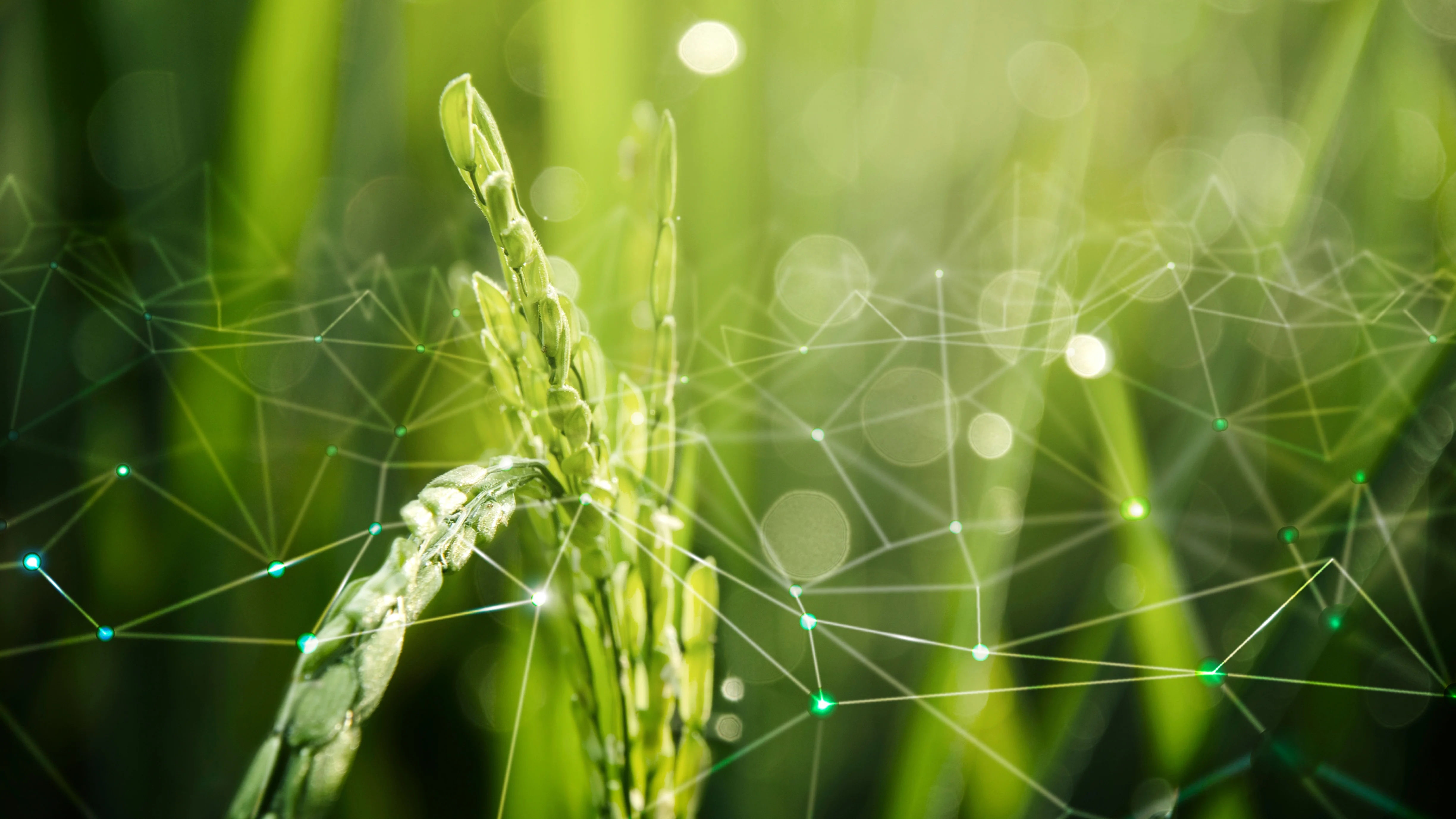 Smart farming and AI agriculture solutions