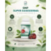 Ganoderma, mushroom, GNP, supplements, best supplements in nepal, immunity