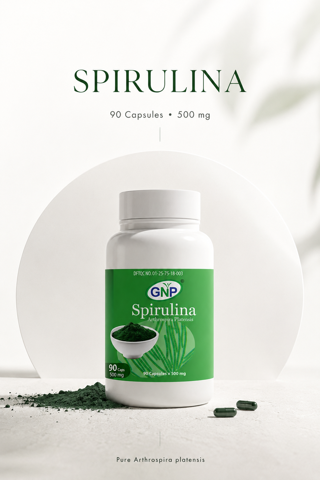 Best Protein Spirulina