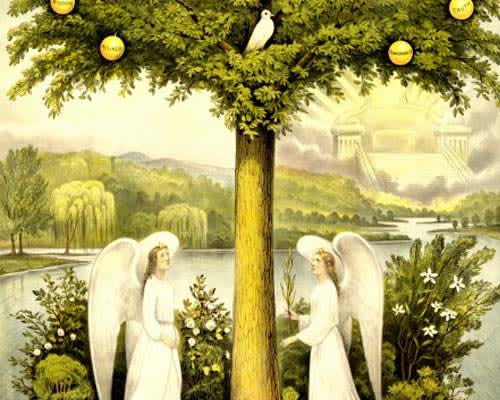 El árbol de la vida en la Biblia