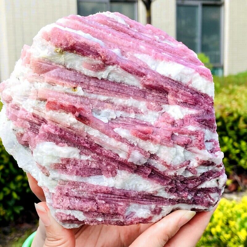 Cristal Mineral de cuarzo de turmalina Rosa Natural, 3.63lb, muestra de Reiki curativa Cristal Mineral de cuarzo de turmalina Rosa Natural, 3.63lb, muestra de Reiki curativa