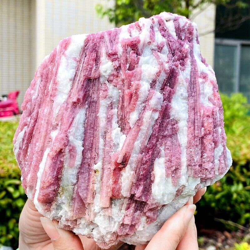 Cristal Mineral de cuarzo de turmalina Rosa Natural, 3.63lb, muestra de Reiki curativa Cristal Mineral de cuarzo de turmalina Rosa Natural, 3.63lb, muestra de Reiki curativa