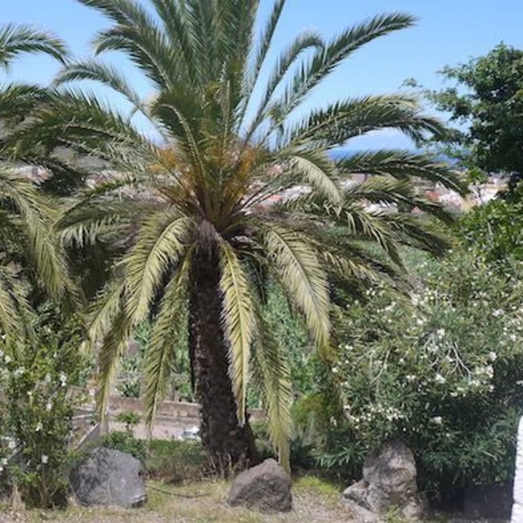 Terapias naturales y alternativas en Finca la Ladera