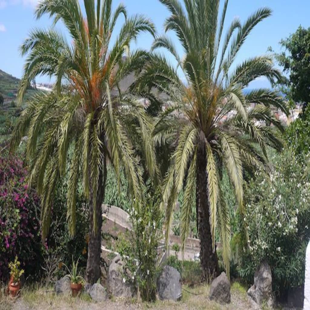 Terapias naturales y alternativas en Finca la Ladera