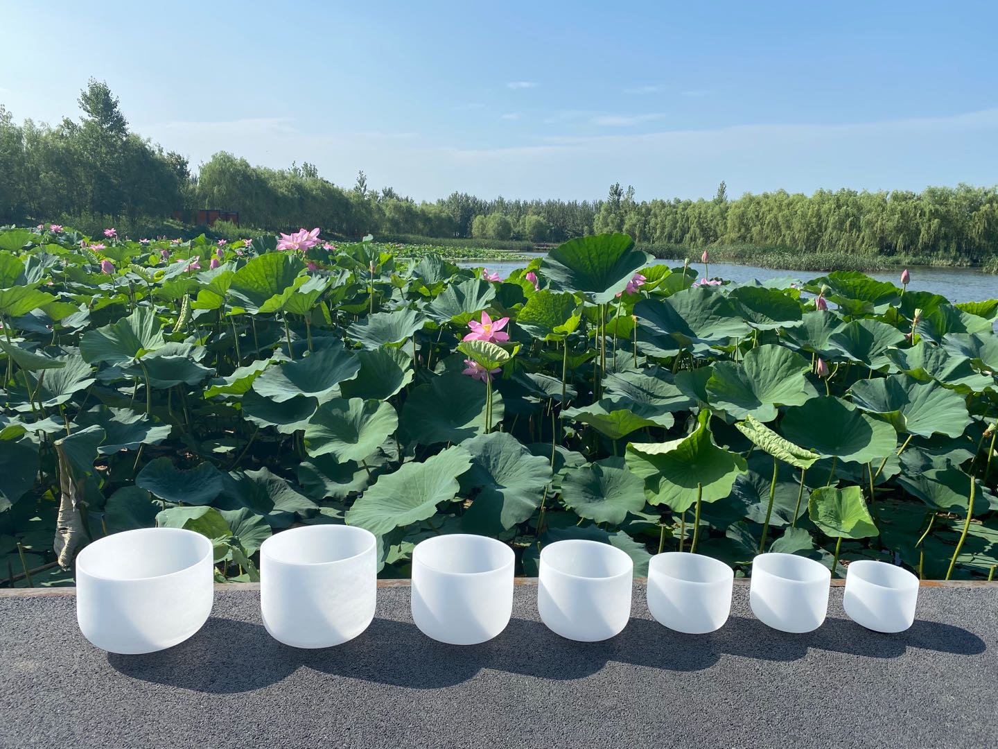 7 Uds 8 pulgadas-14 pulgadas chacra sintonizado de cdefgab nota tazón de blanco para la meditación sanación 7 Uds 8 pulgadas-14 pulgadas chacra sintonizado de cdefgab nota tazón de blanco para la meditación sanación
