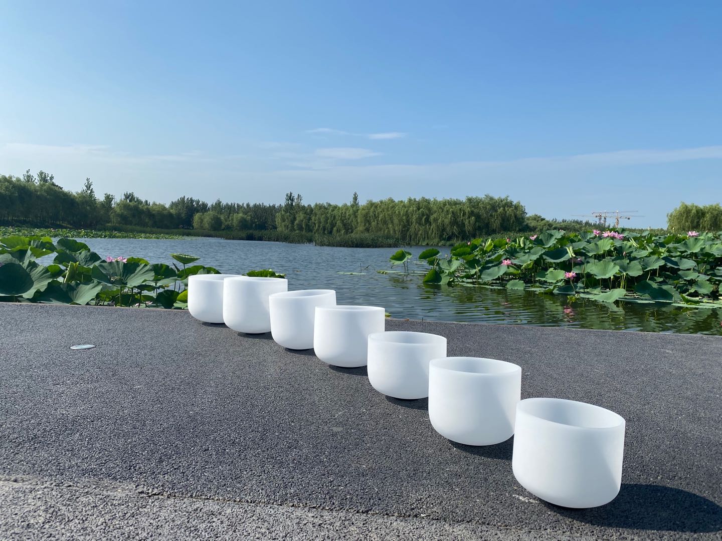7 Uds 8 pulgadas-14 pulgadas chacra sintonizado de cdefgab nota tazón de blanco para la meditación sanación 7 Uds 8 pulgadas-14 pulgadas chacra sintonizado de cdefgab nota tazón de blanco para la meditación sanación