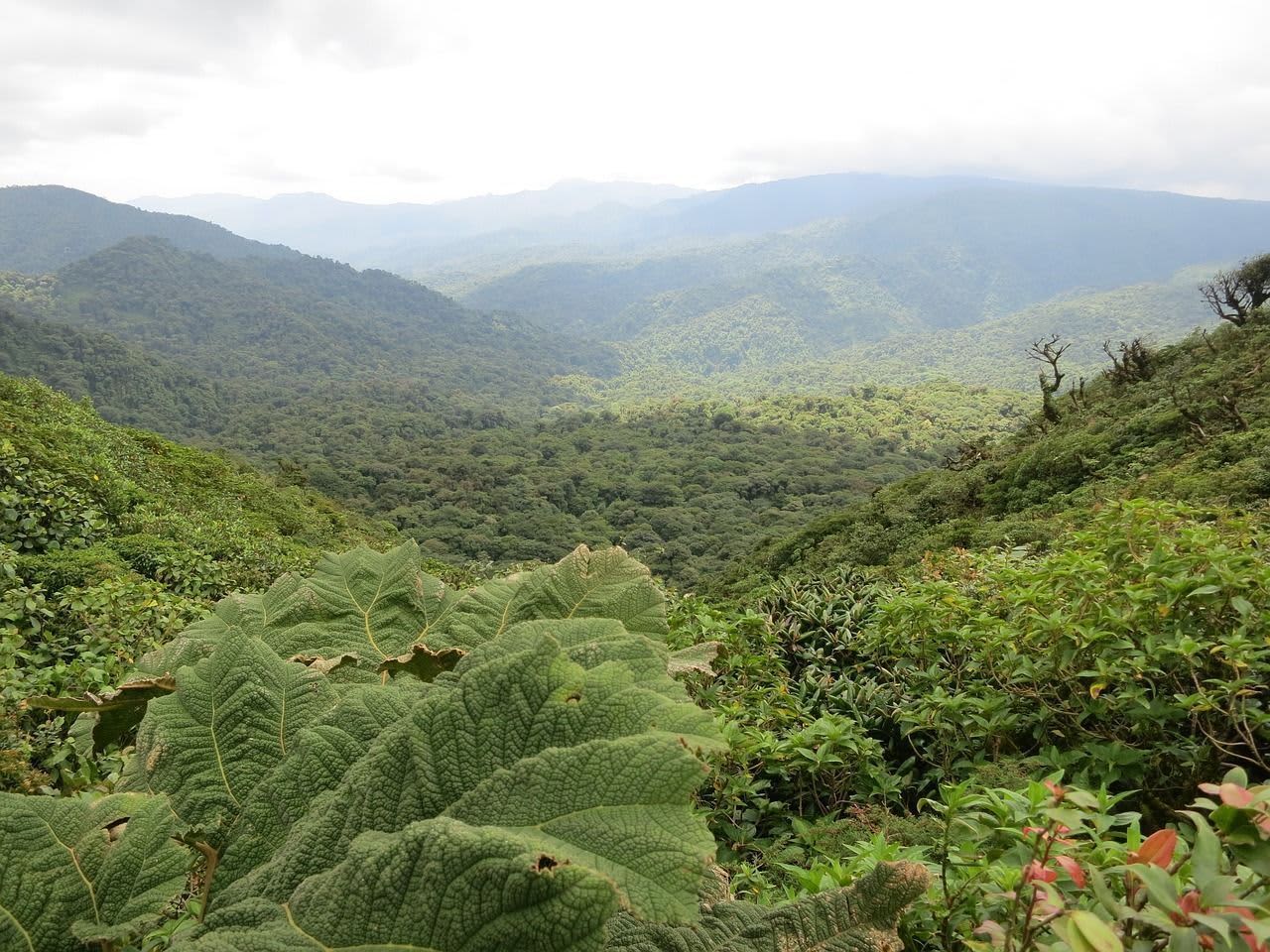 costa rica en septiembre