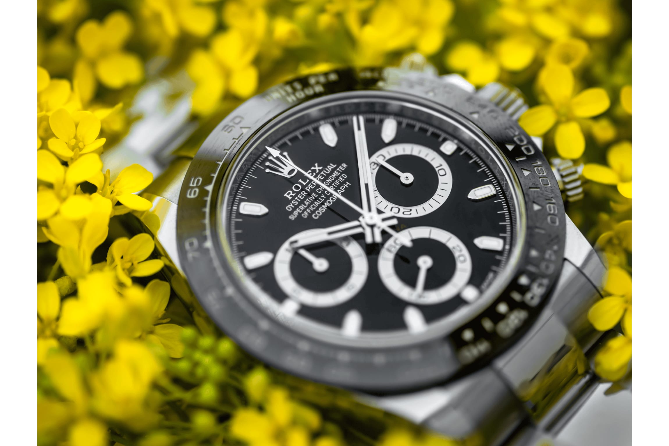 Exclusive for Wristcheck Photo_ Lydia Winters.png