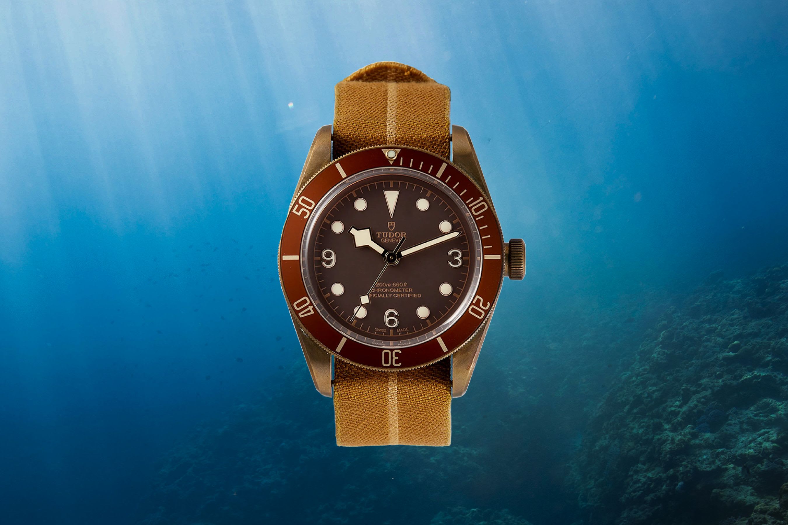 Tudor Black Bay Bronze 43mm