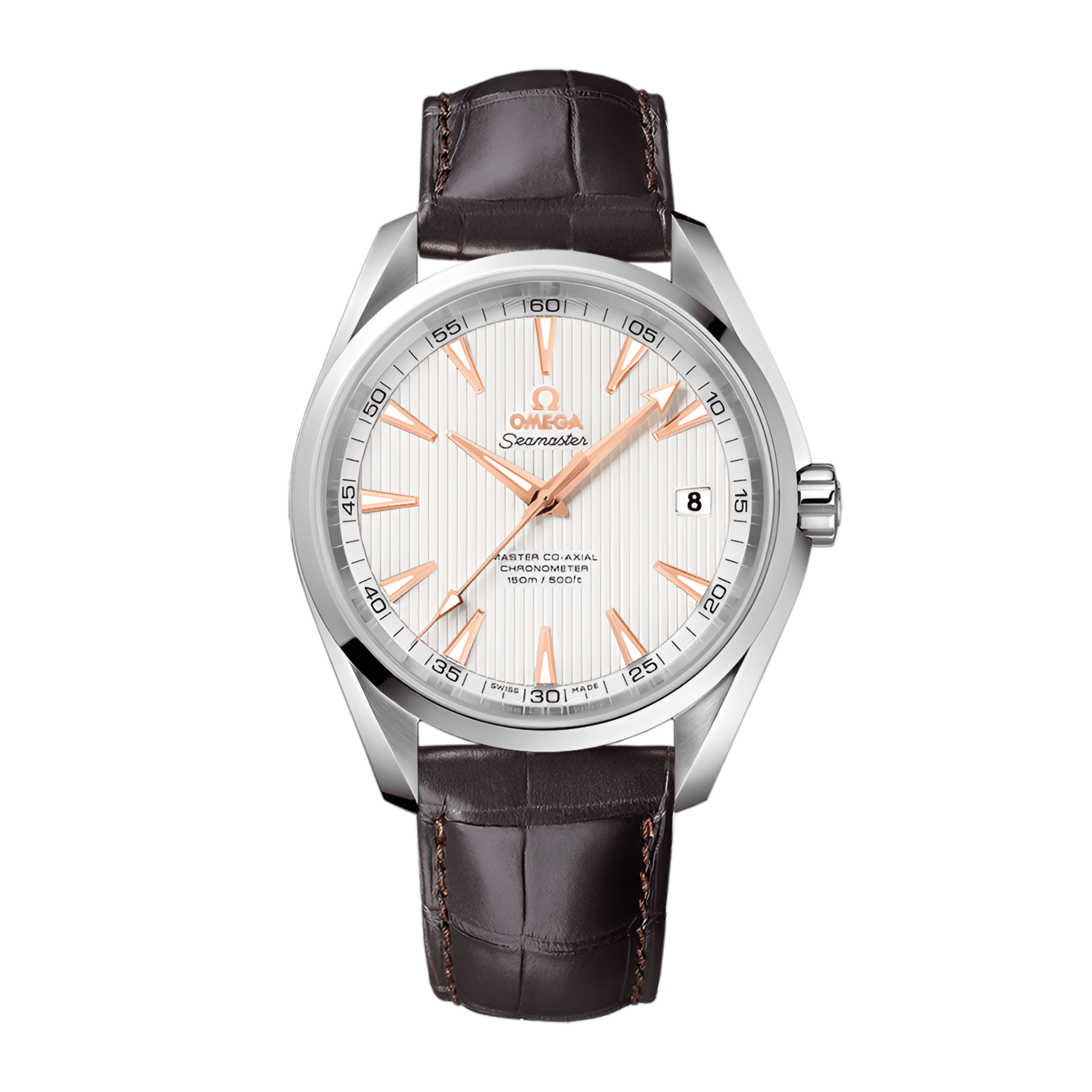 Aqua Terra Steel Silver Dial 41mm Product Image