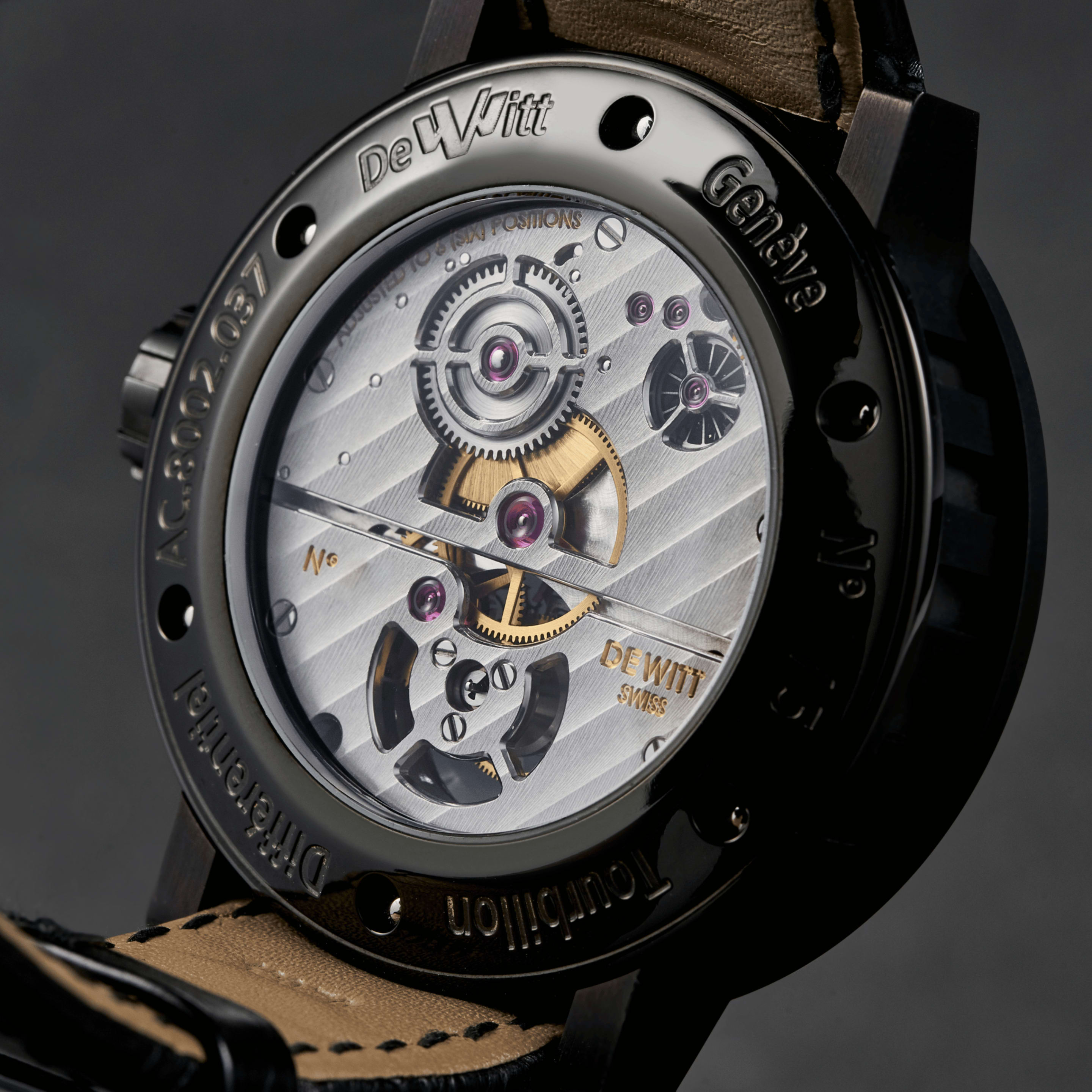 Academia Tourbillon Differentiel 43mm Product Image