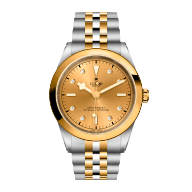 Black Bay Yellow Gold & Steel Silver Dial 41mm Sell Image