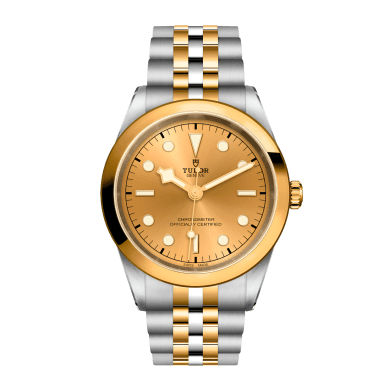 Black Bay Yellow Gold & Steel Silver Dial 41mm Sell Image