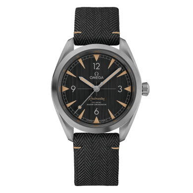 Railmaster Steel Grey Dial 40mm Sell Image