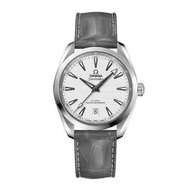 Aqua Terra Steel Silver Dial 38mm Sell Image