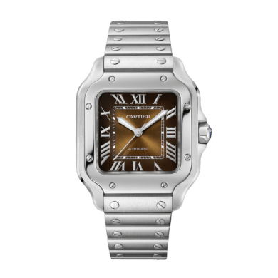 Santos de Cartier Steel Brown Dial 35mm Sell Image