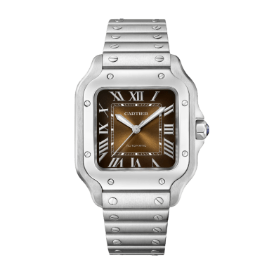 Santos de Cartier Steel Brown Dial 35mm Sell Image