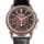 Grand Complications Perpetual Calendar Chronograph Platinum Ruby Red Dial 41mm Condition Images button