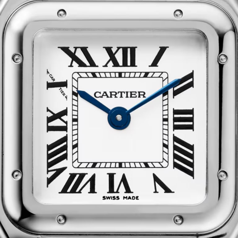 Panthère de Cartier Steel Silver Dial 22mm Product Image 1