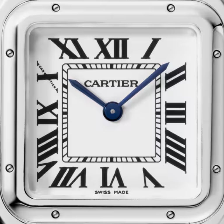 Panthère de Cartier Steel Silver Dial 27mm Product Image 1