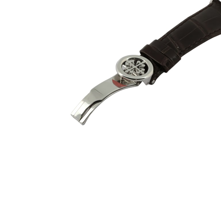 Perpetual Calendar Chronograph Platinum Salmon Dial 41mm Product Image 8