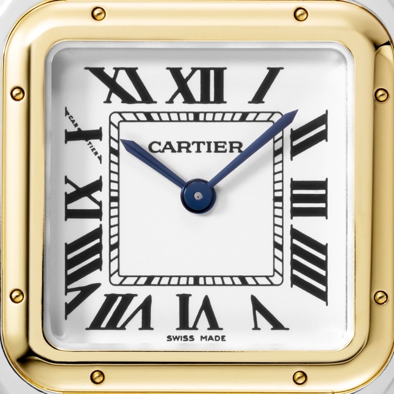 Panthere de Cartier Yellow Gold & Steel White Dial 29mm Product Image 1
