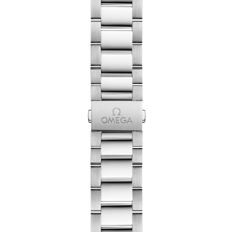 Aqua Terra Steel White Dial 41mm Product Image 2