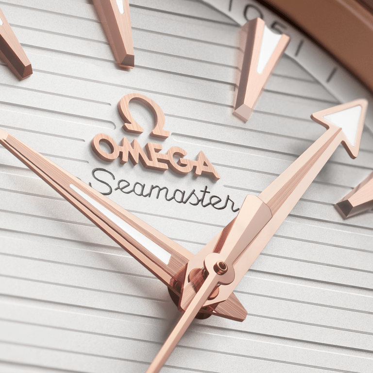 Aqua Terra Rose Gold & Steel Silver Dial 41mm Product Image 3