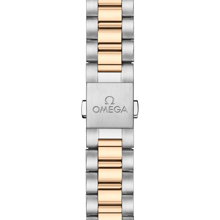 Aqua Terra Yellow Gold & Steel Silver Dial 38mm Product Image 5