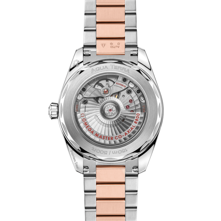 Aqua Terra Rose Gold & Steel Pink Dial 38mm Product Image 2
