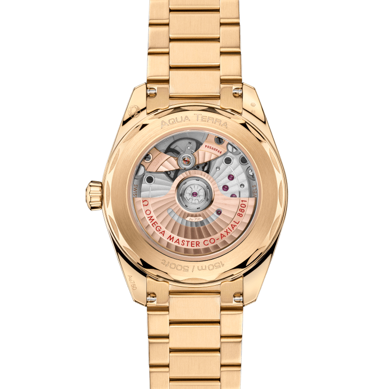 Aqua Terra Yellow Gold Champagne Dial 38mm Product Image 3
