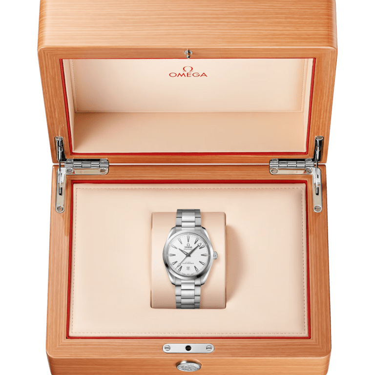 Aqua Terra Steel Silver Dial 38mm Product Image 4