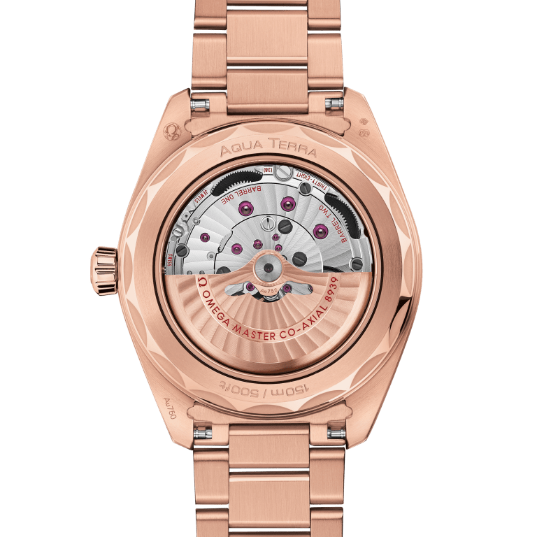 Aqua Terra Worldtimer Rose Gold Silver Dial 43mm Product Image 2