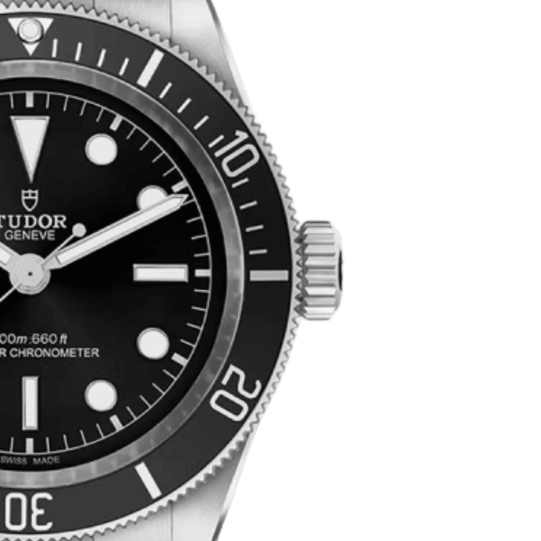Black Bay Master Chronometer Steel Black Dial 41mm Product Image 2